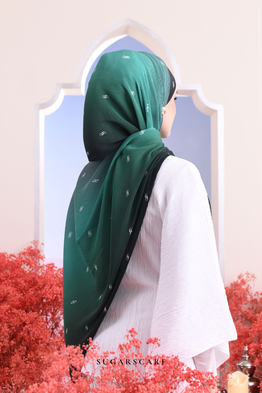 (SAMPLE) OmbreMonogram Pleated Shawl in Dehli