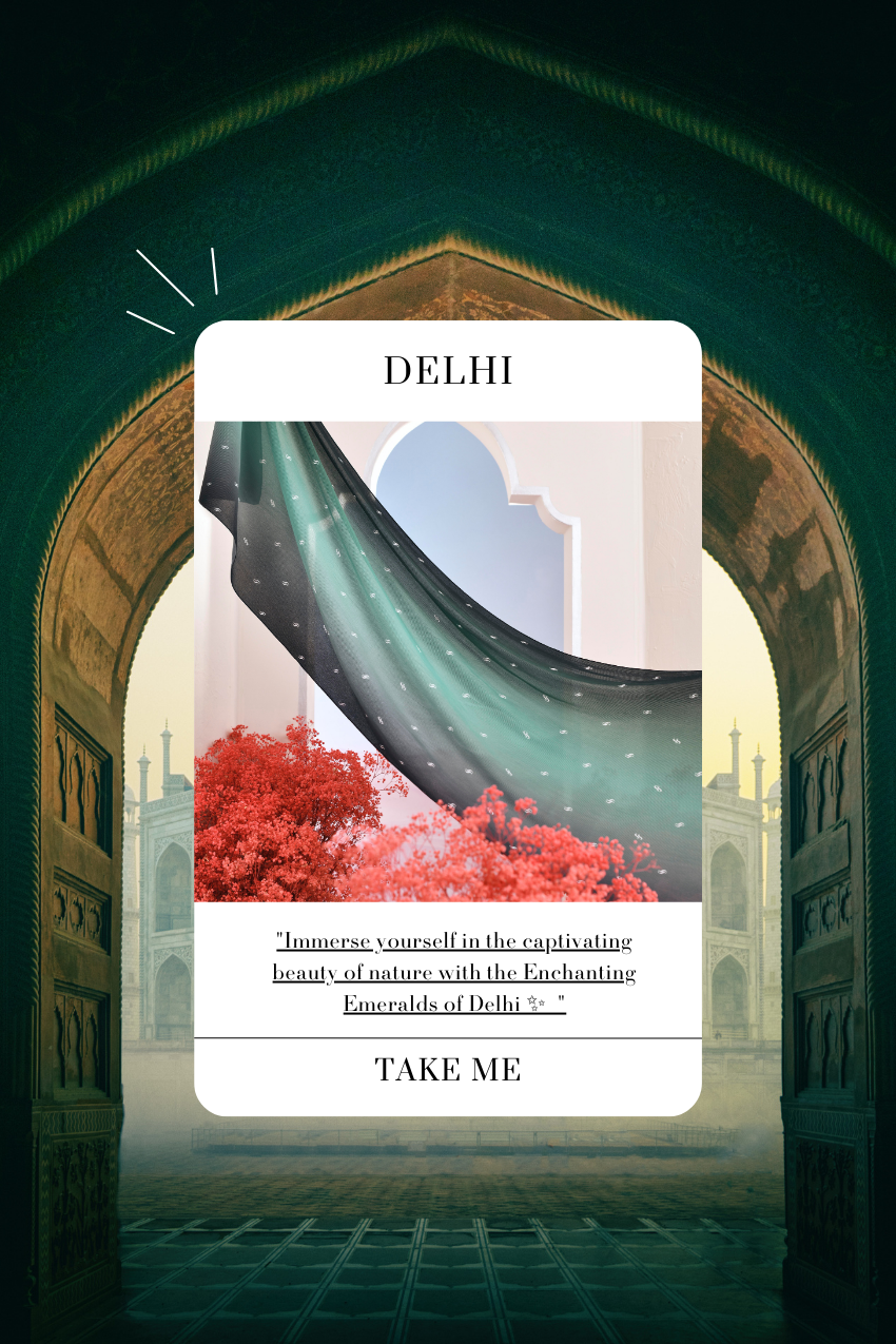 (SAMPLE) OmbreMonogram Pleated Shawl in Dehli